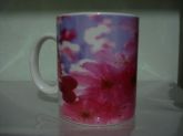 Flor de cerejeira